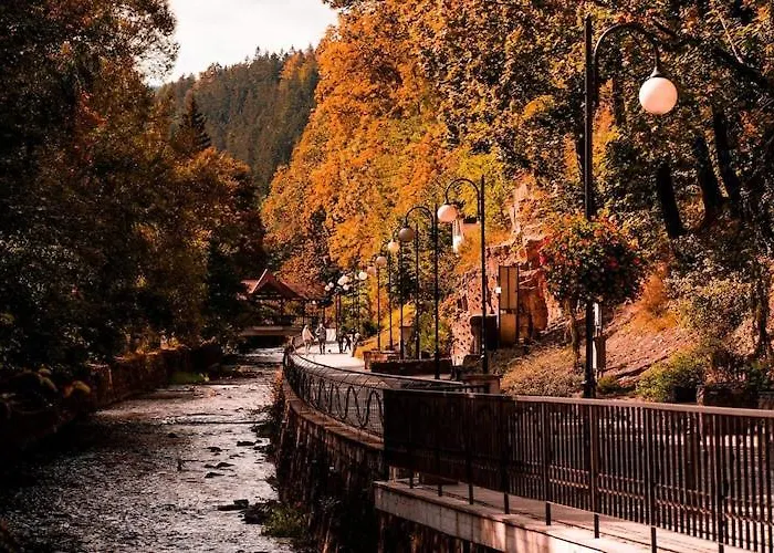 With Balcony, Indoor Pool, Sauna Apartamento