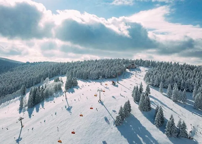 With Balcony, Indoor Pool, Sauna Apartamento Polanica-Zdrój